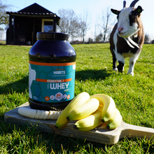 Afbeelding in Gallery-weergave laden, Essential 1 - 100% WHEY PROTEIN